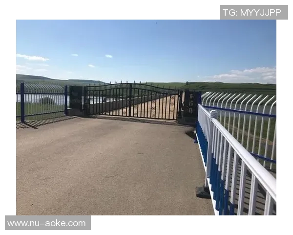 《足球传奇:那些曾在书本上留下足迹的球星故事》 《足球传奇:那些曾在书本上留下足迹的球星故事》